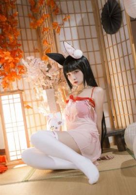 陈真传