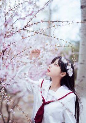 yellow在线观看