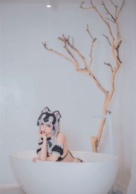如意芳霏电视剧